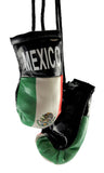 <p><strong>Mini Boxing Gloves MEXICO Country Flag National Pride MMA Car Mirror Décor</strong></p>