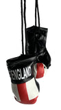 <p>Mini Boxing Gloves ENGLAND Country Flag National Pride MMA Car Mirror Décor</p>