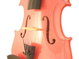 VIOLIN 4/4 Scale FULL Size PINK METALLIC FIDDLE Travel Case Rosin Bow SET