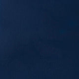 Artist Quality Oil Paint, Color: Phthalocyanine Blue, 170 ml Tube, ASTM D4236