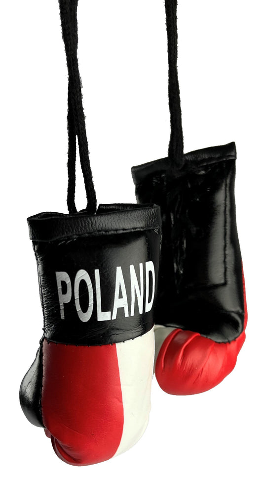 Mini Boxing Gloves POLAND Country Flag National Pride MMA Car Mirror Decor