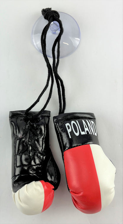 Mini Boxing Gloves POLAND Country Flag National Pride MMA Car Mirror Decor