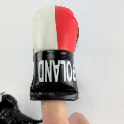Mini Boxing Gloves POLAND Country Flag National Pride MMA Car Mirror Decor