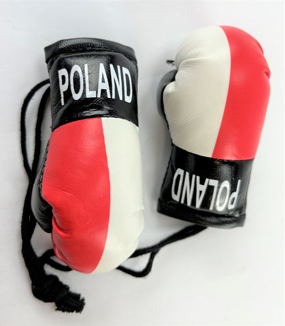 Mini Boxing Gloves POLAND Country Flag National Pride MMA Car Mirror Decor
