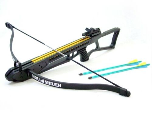 Crossbow 120 LB Draw Weight Hunting Archery Bow w. Arrow Bolts Fiberglass