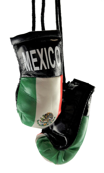 <p><strong>Mini Boxing Gloves MEXICO Country Flag National Pride MMA Car Mirror D&eacute;cor</strong></p>
