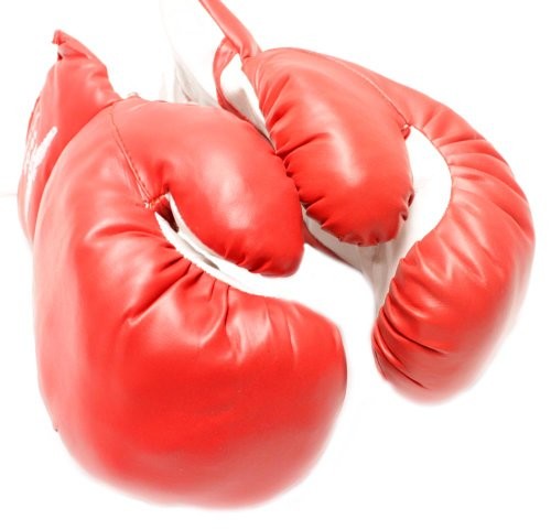 Boxing/Punching Gloves and Fitness Training : Red - 16oz