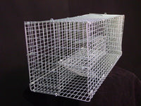 Rodent TRAP w. Large holding capacity -squirrel rat NEW!