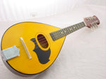 MANDOLIN - COFFEE BROWN - ACOUSTIC FOLK INSTRUMENT NEW!