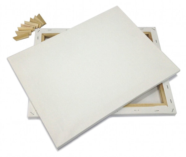 Lot 2 ARTIST CANVAS 22x32" BLANK Pre-Stretched Framed Cotton Double Gesso