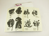 Chinese Language TATTOO FLASH BOOK Great for Artists / Beginners / Professionals